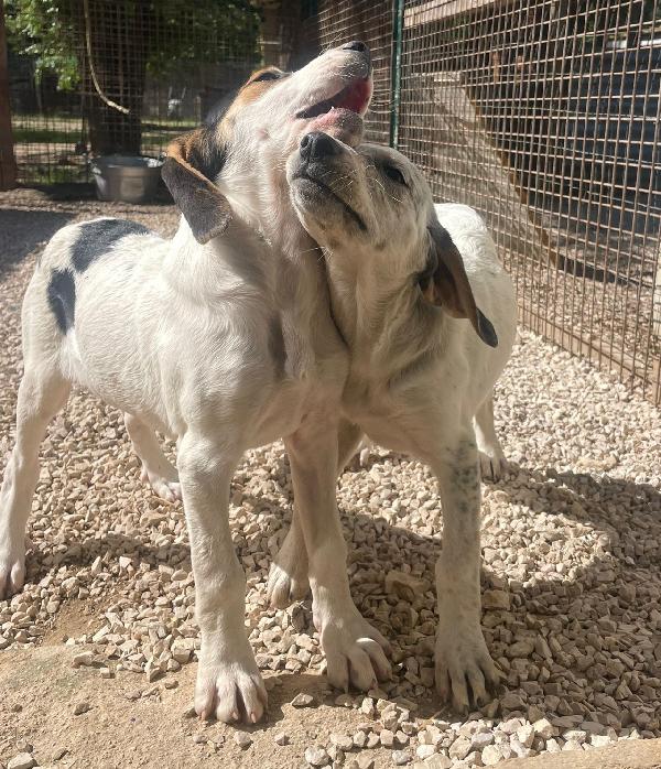 LA PICCOLA E DOLCE SIRYA Foto 7